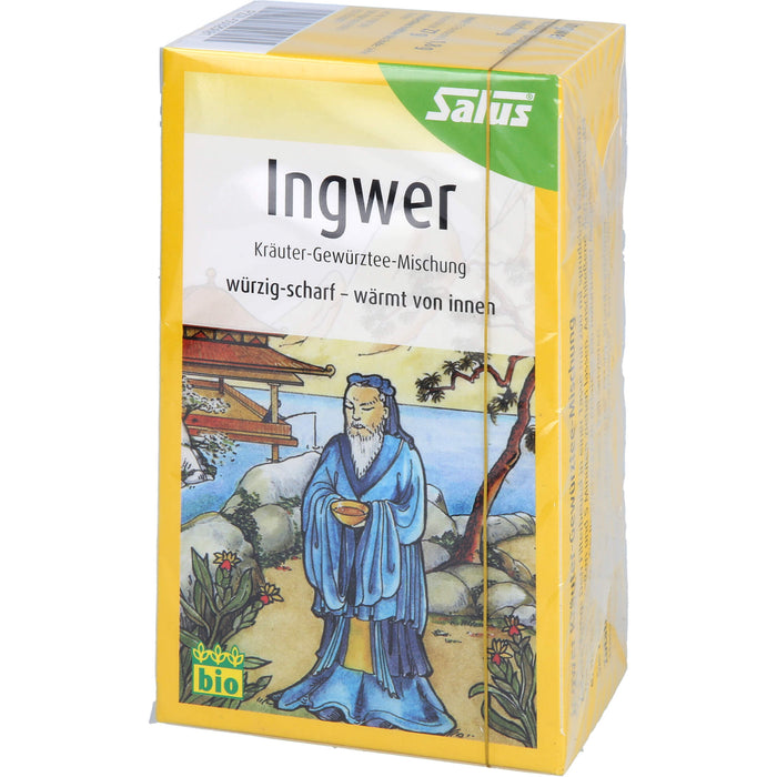 Ingwer Kräuter-Gewürztee Salus, 15 St FBE
