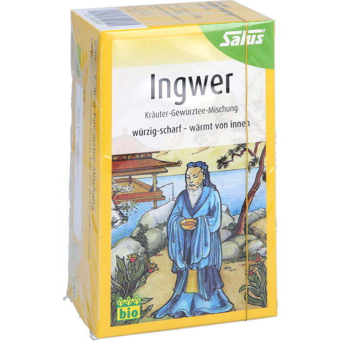 Ingwer Kräuter-Gewürztee Salus, 15 St FBE