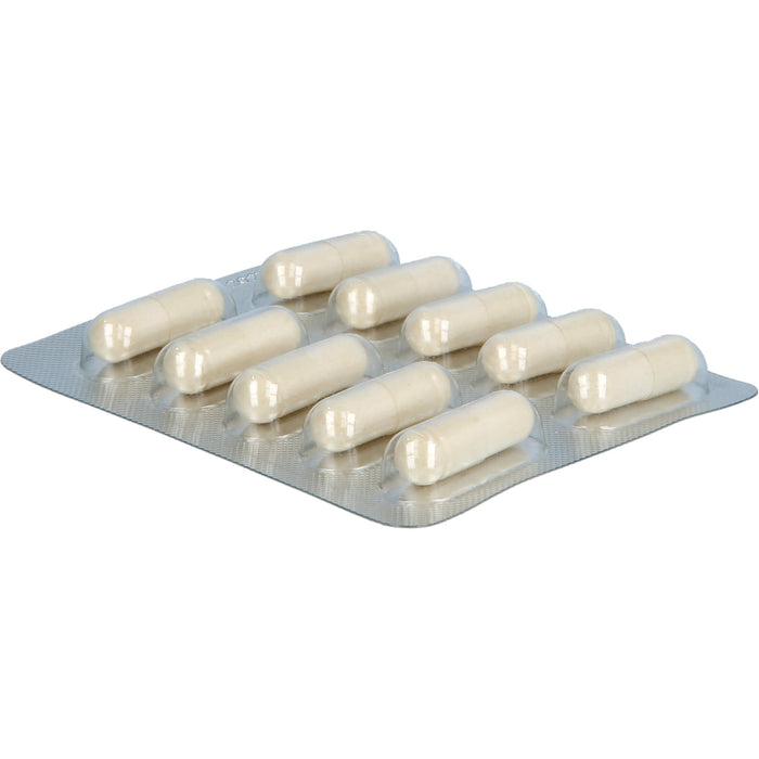 Unizink Immun Plus Kapseln für ein gesundes Immunsystem, 30 pcs. Capsules