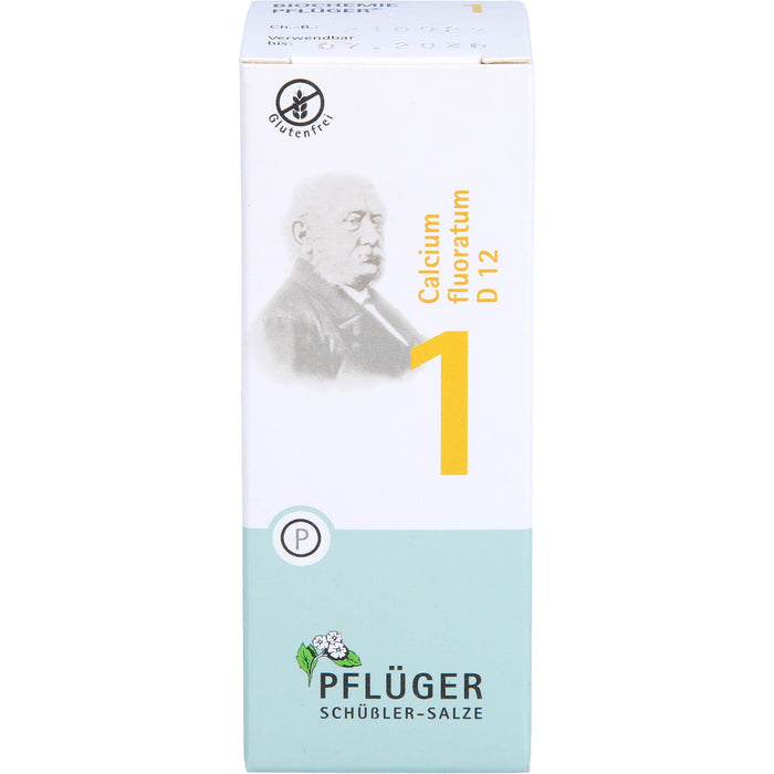 Pflüger Biochemie Nr.1 Calcium fluoratum D12 Tabletten, 100 St. Tabletten