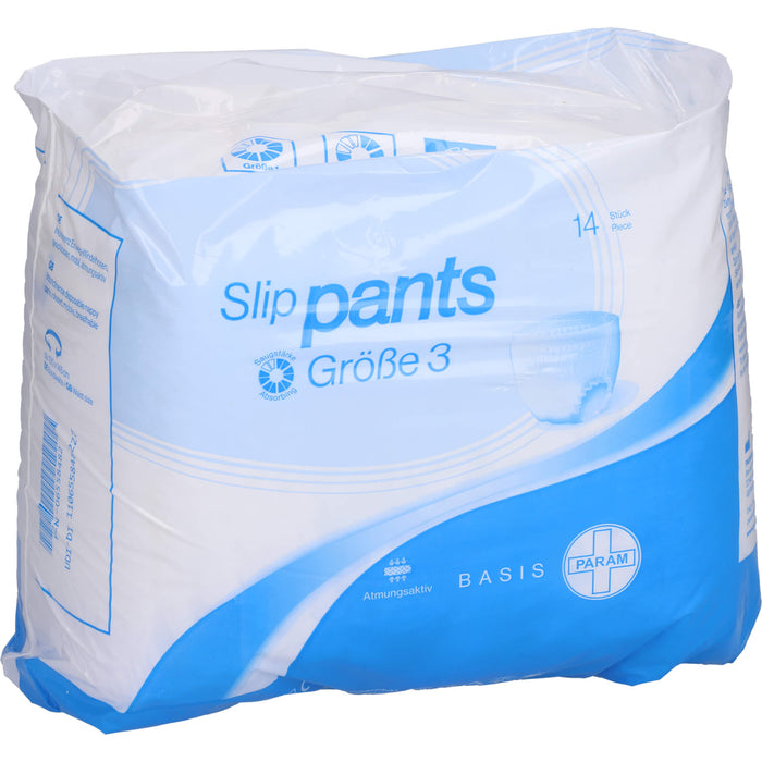 PARAM SLIP PANTS Basis Gr.III, 14 pcs. Briefs