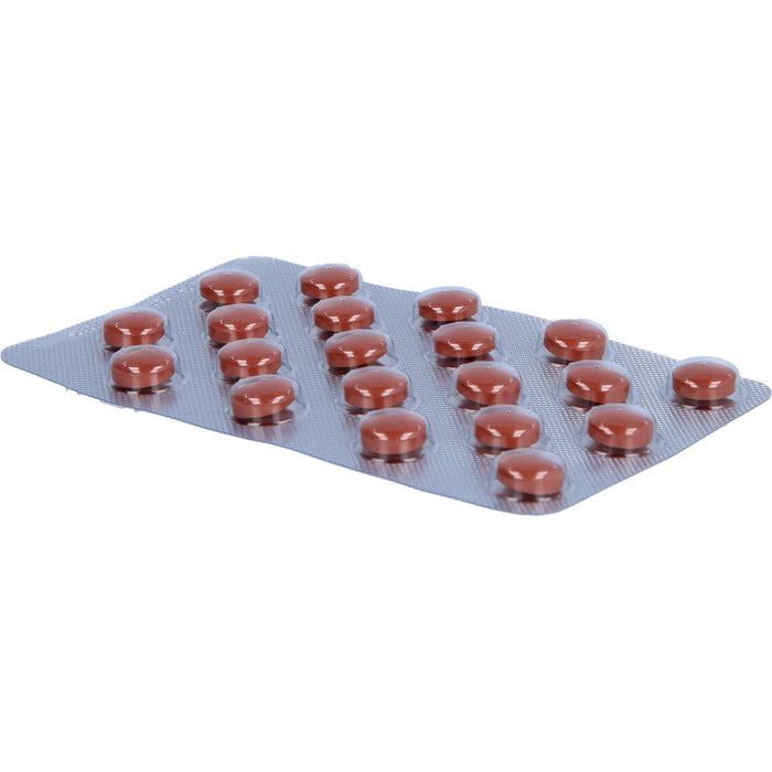 Ginkobil ratiopharm 80 mg Filmtabletten bei geistigen Leistungsstörungen und Durchblutungsstörungen, 60 pc Tablettes