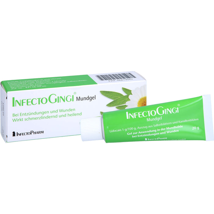 InfectoGingi Mundgel 3fach wirksam bei Mundverletzungen, 20 g Gel