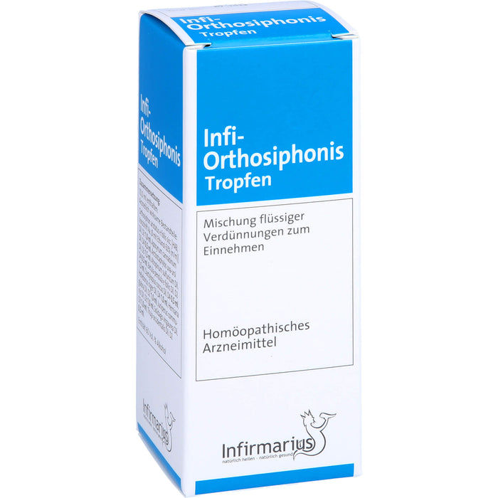Infi Orthosiphonis Tropfen, 50 ml Lösung
