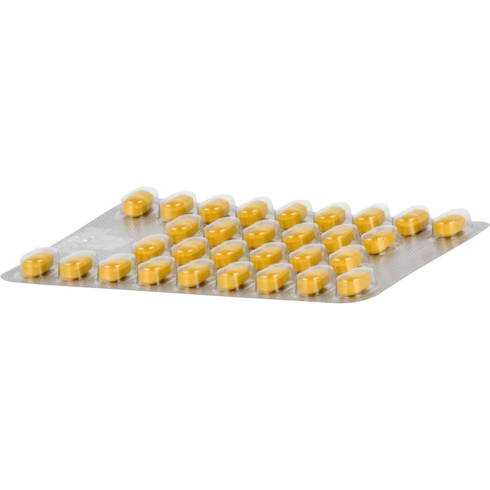 Tebonin spezial 80 mg Filmtabletten zur Leistungsstärkung des Gehirns und zur Durchblutung, 60 St. Tabletten