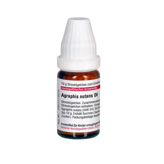 Agraphis nutans D6 DHU Globuli, 10 g Globules