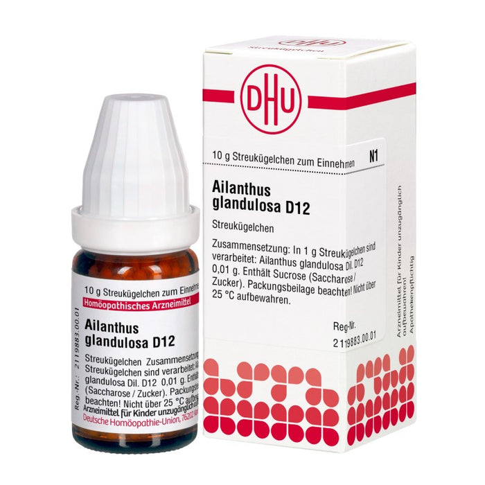 Ailanthus glandulosa D12 DHU Globuli, 10 g Globules