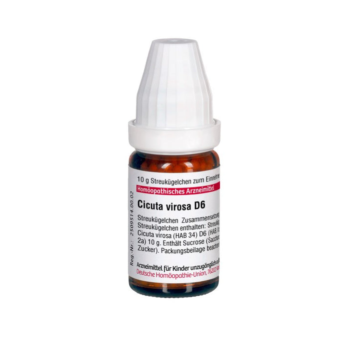 Cicuta virosa D6 DHU Globuli, 10 g Dispersion