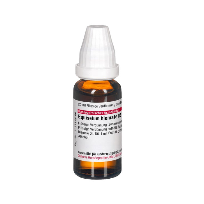Equisetum hiemale D6 DHU Dilution, 20 ml Solution