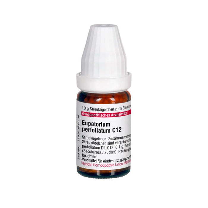 Eupatorium perfoliatum C12 DHU Globuli, 10 g Globules