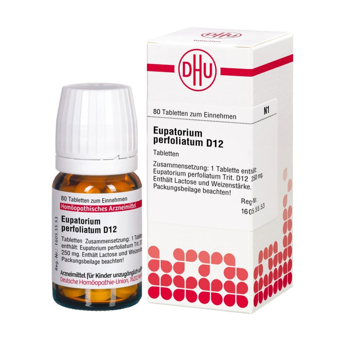 Eupatorium perfoliatum D12 DHU Tabletten, 80 pcs. Tablets