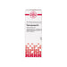 Panax ginseng D12 DHU Dilution, 20 ml Lösung