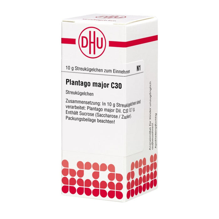 Plantago major C30 DHU Globuli, 10 g Globules