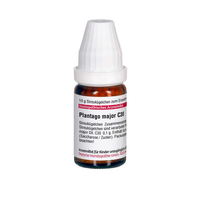 Plantago major C30 DHU Globuli, 10 g Globules