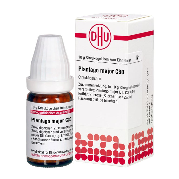 Plantago major C30 DHU Globuli, 10 g Globuli