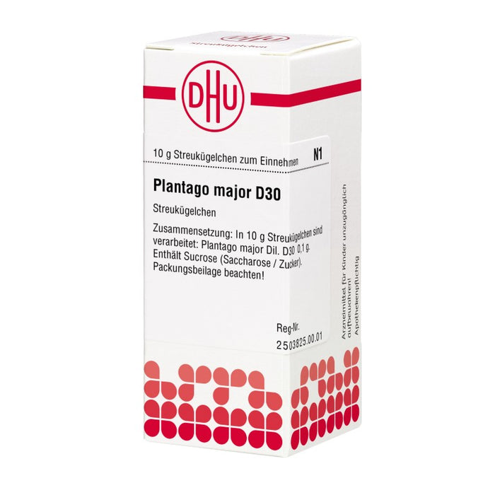 Plantago major D30 DHU Globuli, 10 g Globules