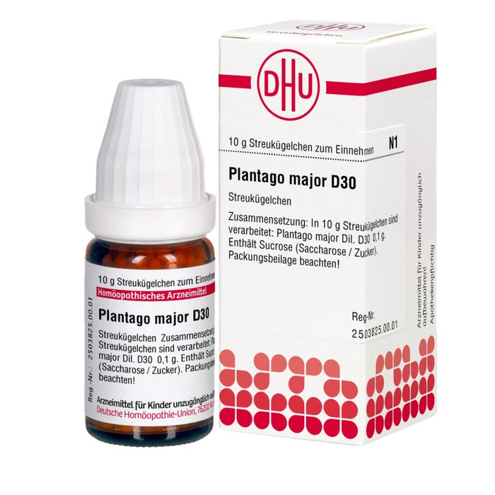Plantago major D30 DHU Globuli, 10 g Globules