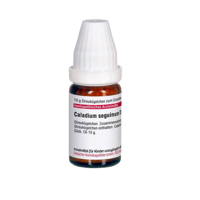 Caladium seguinum C6 DHU Globuli, 10 g Globules