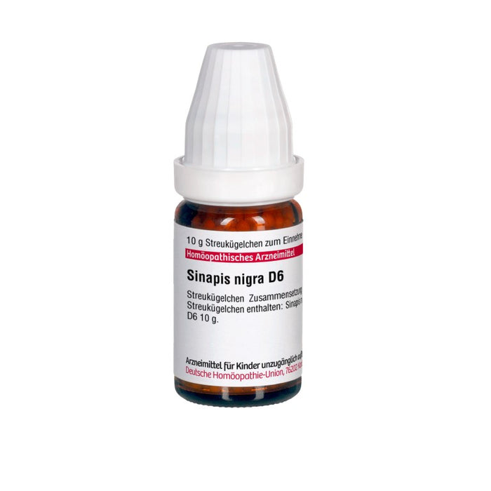 Sinapis nigra D6 DHU Globuli, 10 g Globules