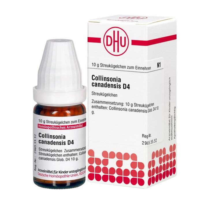 Collinsonia canadensis D4 DHU Globuli, 10 g Globules
