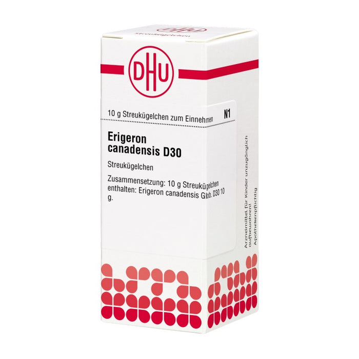 Erigeron canadensis D30 DHU Globuli, 10 g Globules