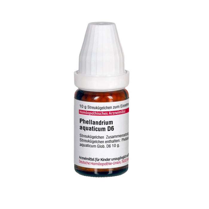 Phellandrium aquaticum D6 DHU Globuli, 10 g Globules