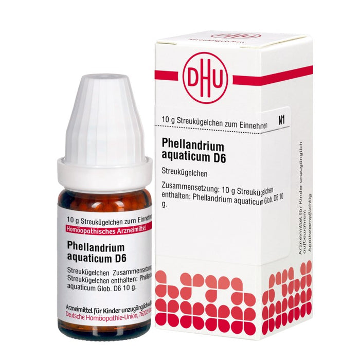 Phellandrium aquaticum D6 DHU Globuli, 10 g Globules