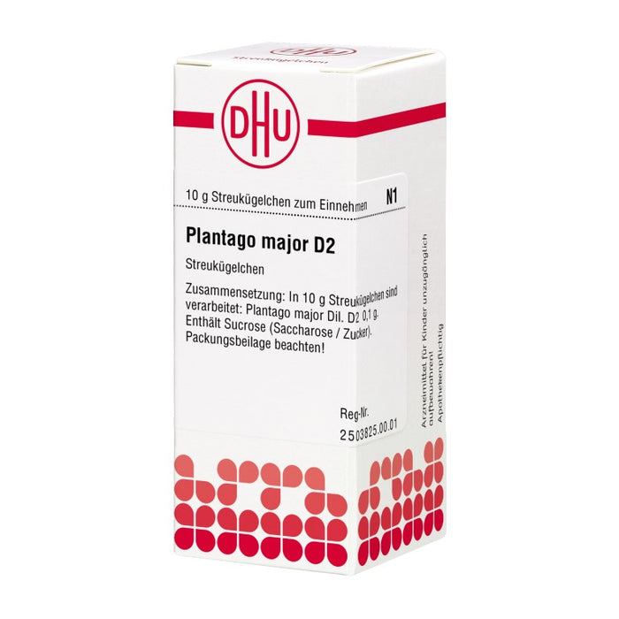 Plantago major D2 DHU Globuli, 10 g Globuli