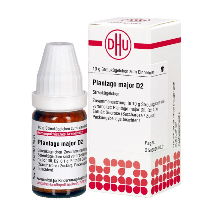 Plantago major D2 DHU Globuli, 10 g Globules