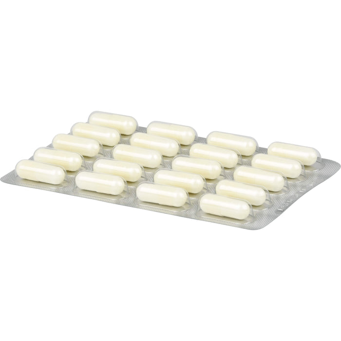 Gesund leben Zink 15 mg + Selen mit Histidin Kapseln, 60 St. Kapseln