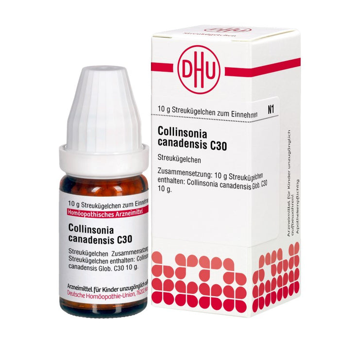Collinsonia canadensis C30 DHU Globuli, 10 g Globules