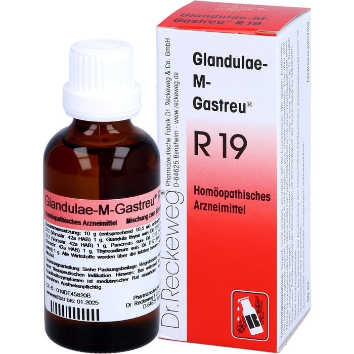Glandulae-M-Gastreu R19 Tropfen, 50 ml Lösung
