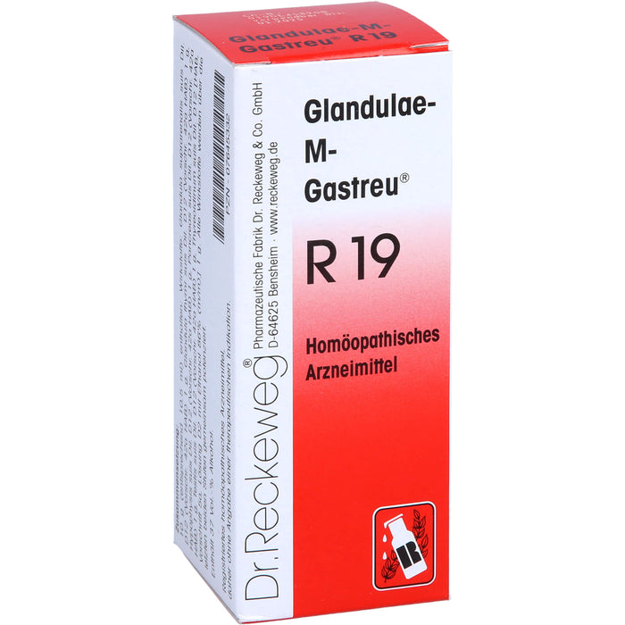 Glandulae-M-Gastreu R19 Tropfen, 50 ml Lösung