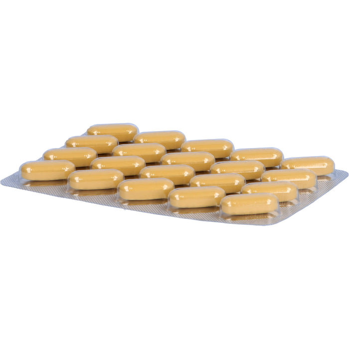 Neuroplant  AKTIV, 100 pcs. Tablets