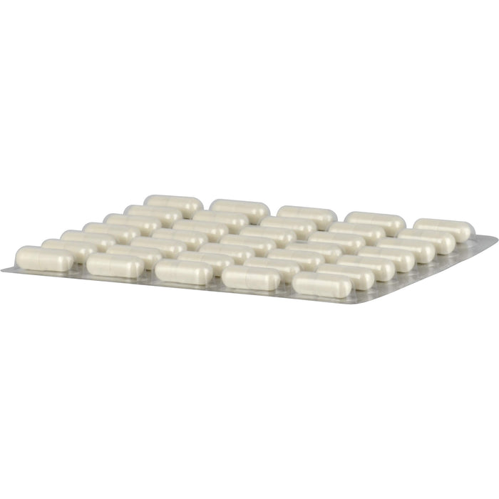 Abtei Kieselerde, 210 pcs. Capsules