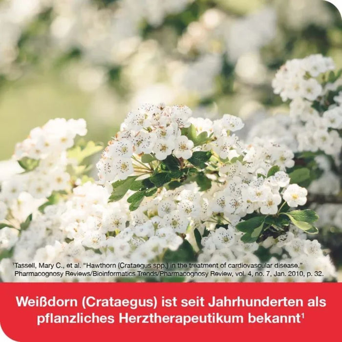 Cratae-Loges 450 mg Weißdorn Filmtabletten bei Herzerkrankungen, 100 St. Tabletten