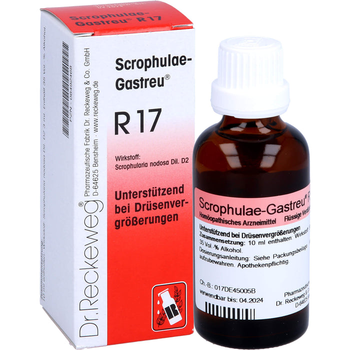 Dr. Reckeweg Scrophulae-Gastreu R17 Tropfen unterstützend bei Drüsenvergrößerungen, 50 ml Solution