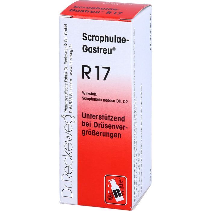 Dr. Reckeweg Scrophulae-Gastreu R17 Tropfen unterstützend bei Drüsenvergrößerungen, 50 ml Solution