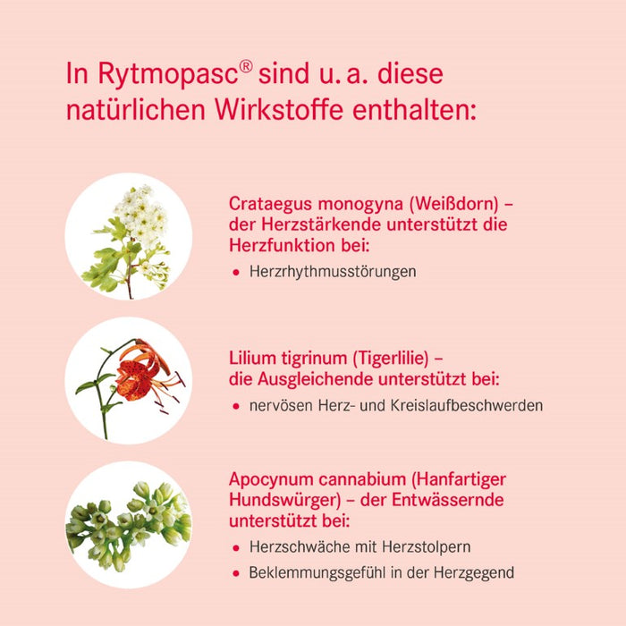 Rytmopasc Tropfen bei Erkrankungen des Herz-Kreislauf-Systems, 100 ml Solution