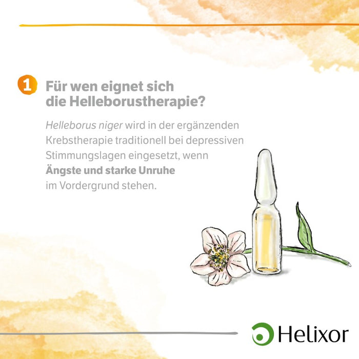 Helleborus niger aquos. D20, 50 pc Ampoules