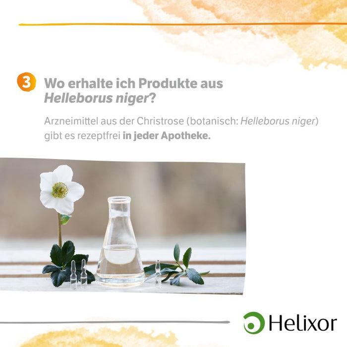 Helleborus niger aquos. D20, 50 pcs. Ampoules