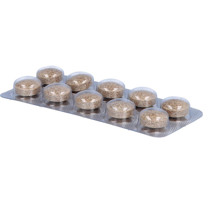 SYNOMED Basis-Mental Tabletten für  eine normale psychische Funktion, 120 pc Tablettes
