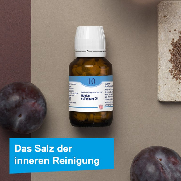DHU Schüßler-Salz Nr. 10 Natrium sulfuricum D6, 200 St. Tabletten