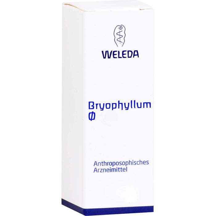 WELEDA Bryophyllum Urtinktur, 50 ml Solution
