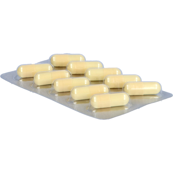 Dr. Grandel Gelenk plus Hyaluron Kapseln, 60 pcs. Capsules
