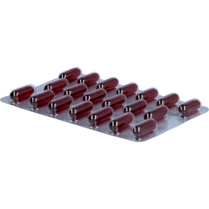 curcumin-Loges Kapseln, 120 St., 120 pcs. Capsules