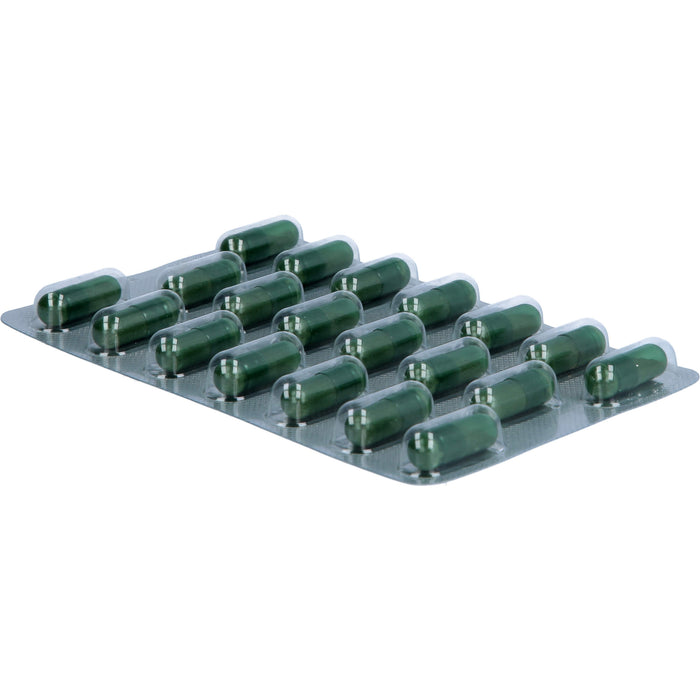 immunLoges Kapseln, 120 St., 120 pc Capsules