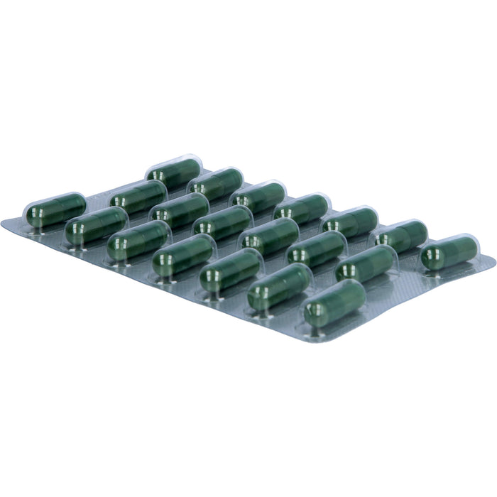 immunloges®, 20 pcs. Capsules