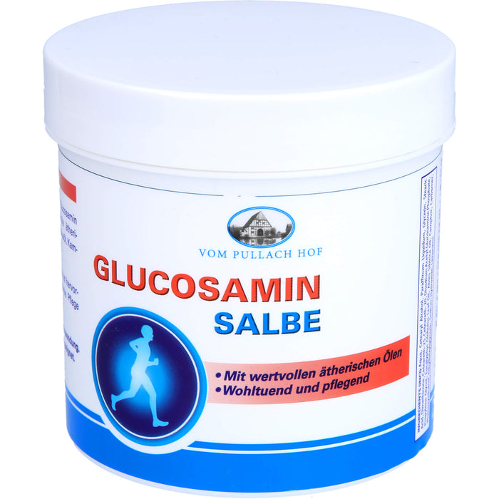 Glucosamin Salbe, 250 ml Salbe