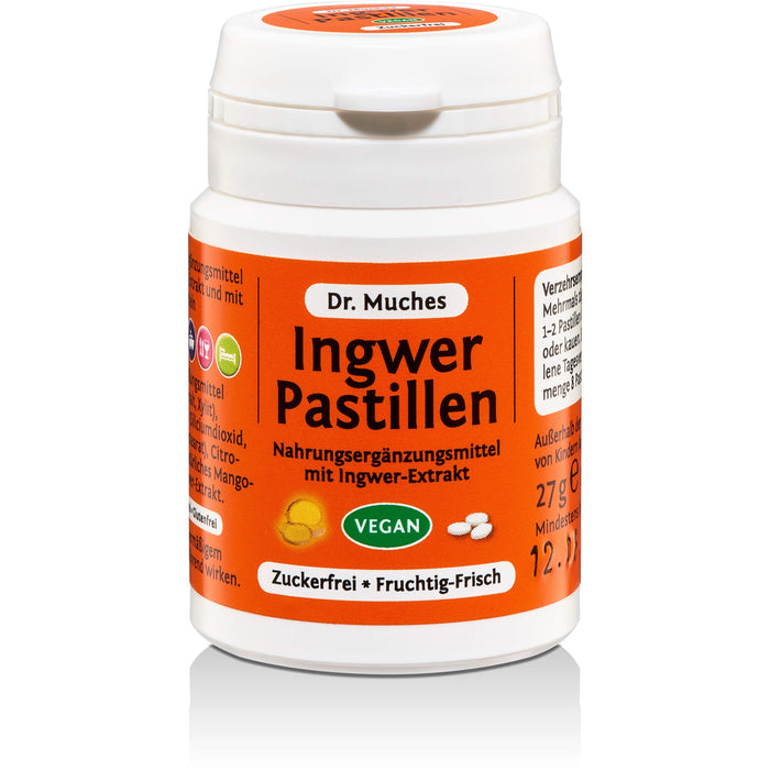 Dr. Muches Ingwerpastillen zuckerfrei und vegan, 27 g Pastillen